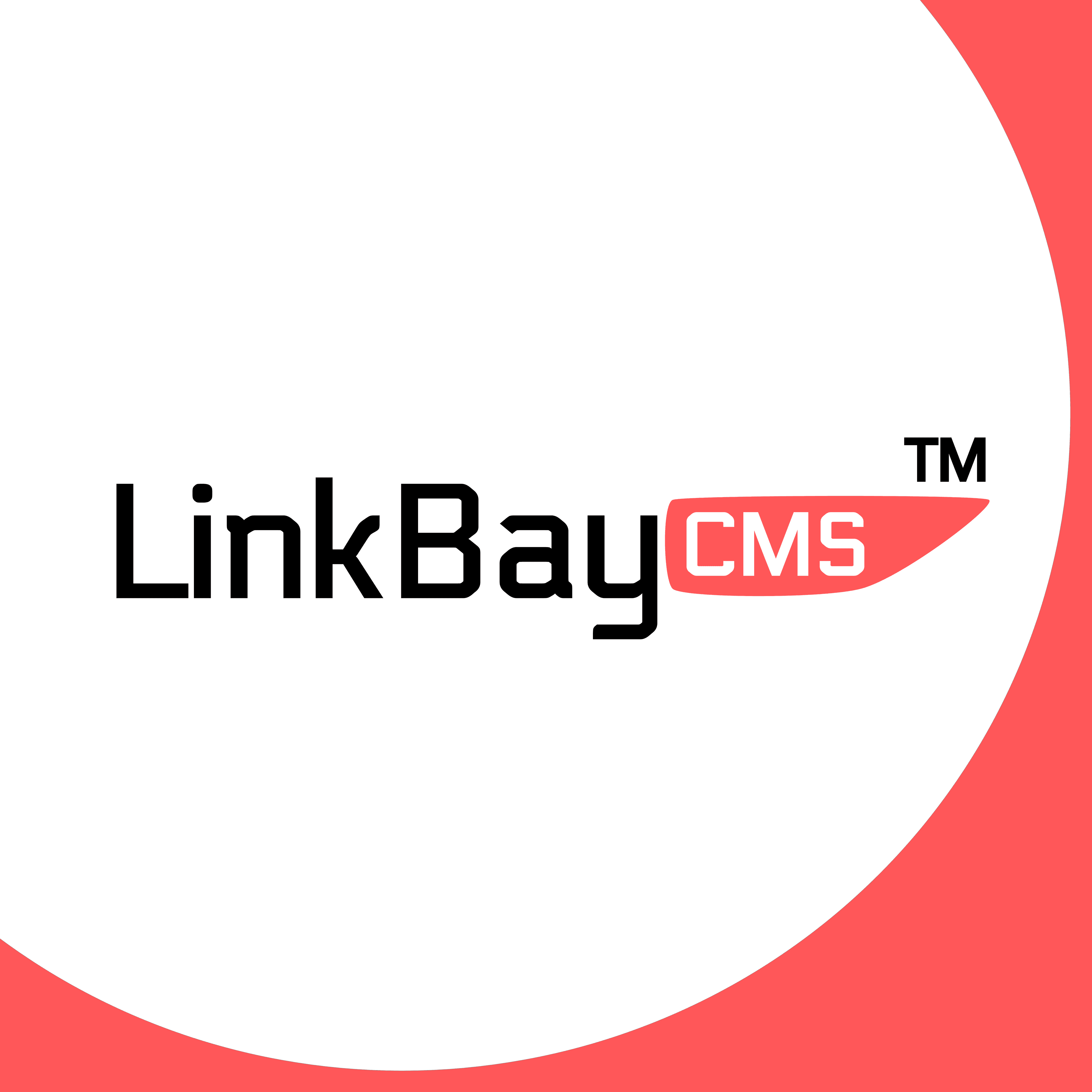 LinkBay-CMS: la storia di un'infrastruttura e-commerce nata per le agenzie